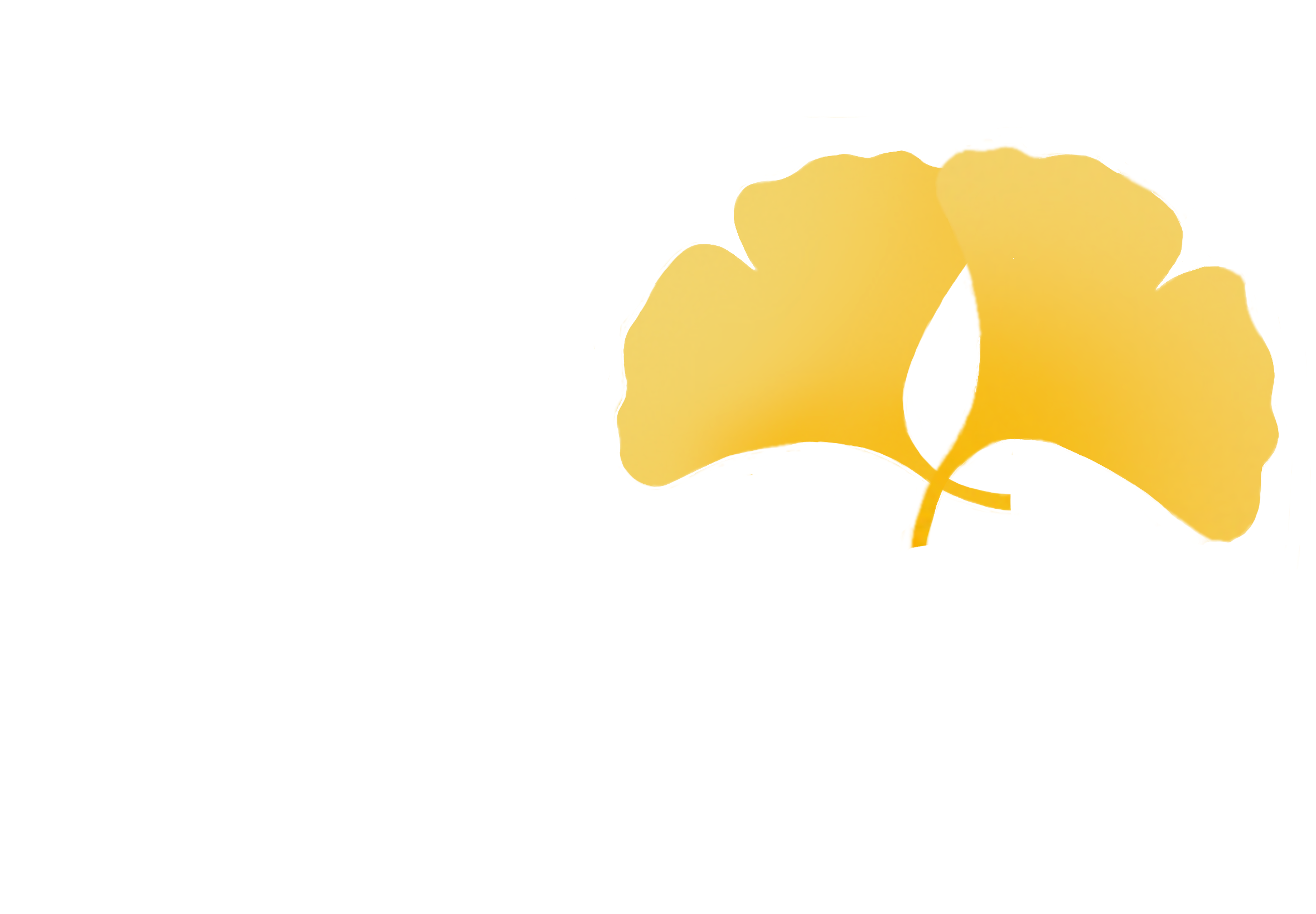 TCM_Heilpraktikerpraxis